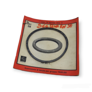 GASKET Ø 79 MM THICKNESS 2 FOR TRIPLEX WATER GROUP ART. 38 FOR ARTICLE 1 JUNKERS