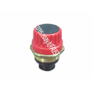 LEBLANC HEAD SAFETY VALVE HEATING EGALIS RED ART. 87167604660 BOILER